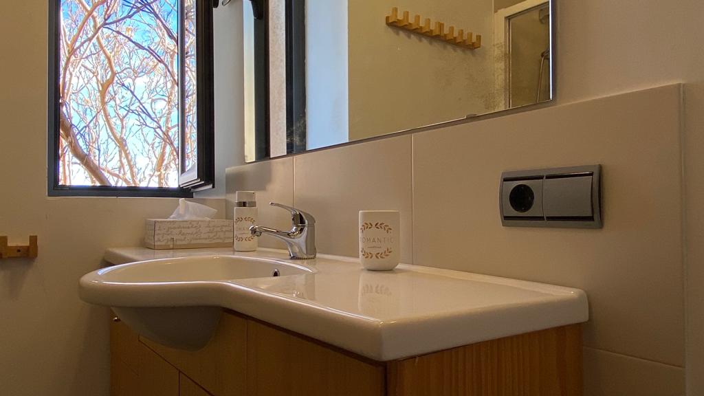 BA&Ntilde;O DETALLE LAVABO con ARBOLES